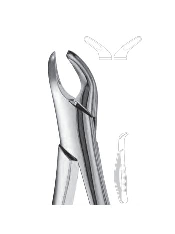 Extraction Forceps  151