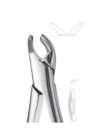 Extraction Forceps  151A