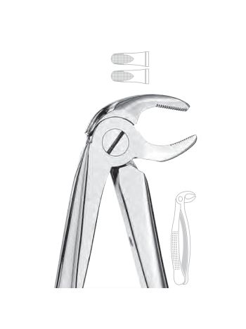 Extraction Forceps  13