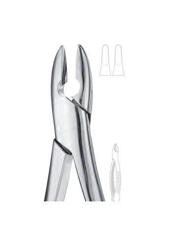 Extraction Forceps, Standard Upper Incisor & Canine #1